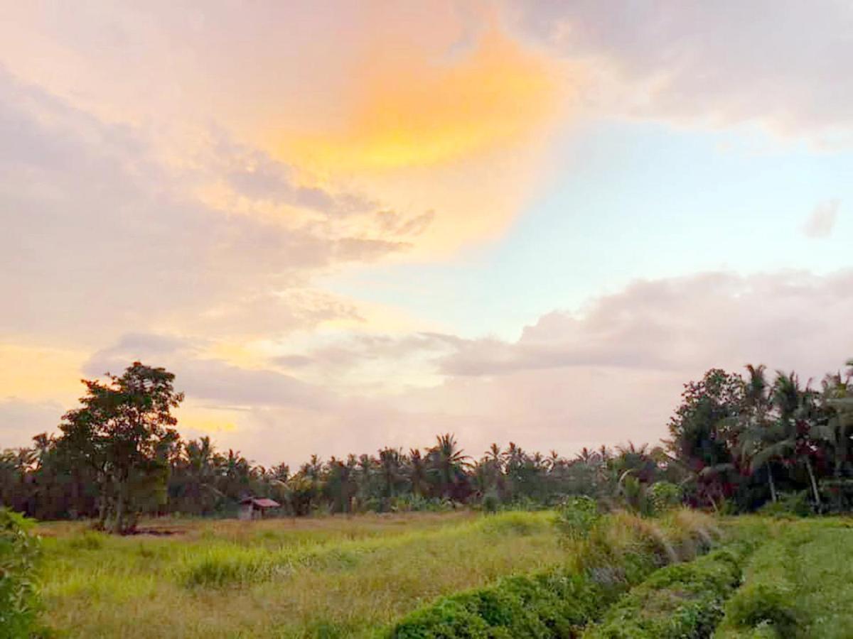 Shivananda Antique Villas By Eps อูบุด ภายนอก รูปภาพ