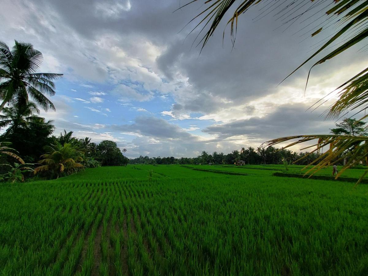 Shivananda Antique Villas By Eps อูบุด ภายนอก รูปภาพ