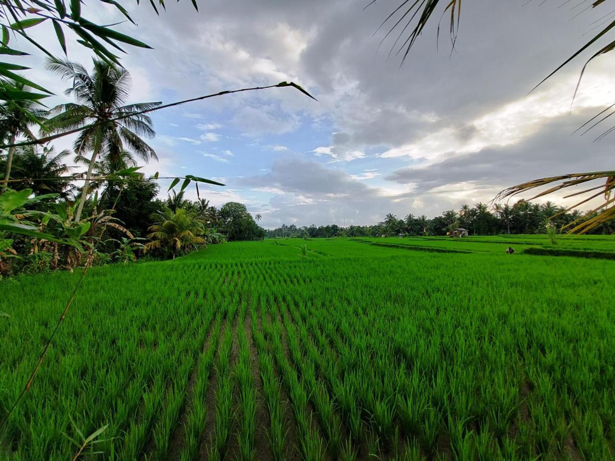 Shivananda Antique Villas By Eps อูบุด ภายนอก รูปภาพ